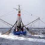 Hafenambiente Husum (Schleswig-Holstein)