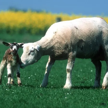 דירה Hafenambiente