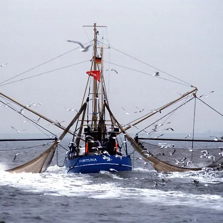 Hafenambiente הוסום