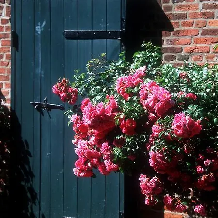 Hafenambiente דירה *